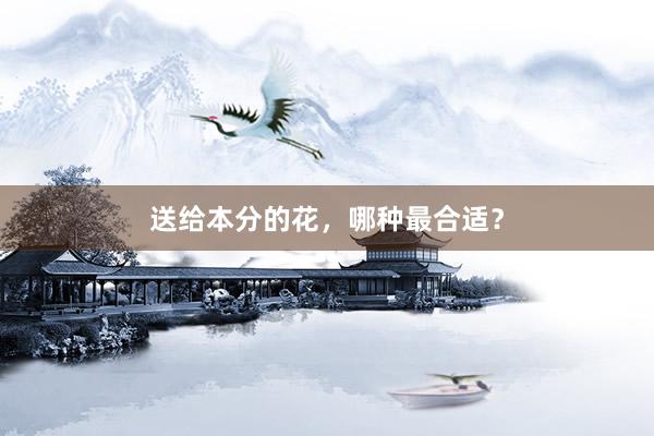 送给本分的花，哪种最合适？
